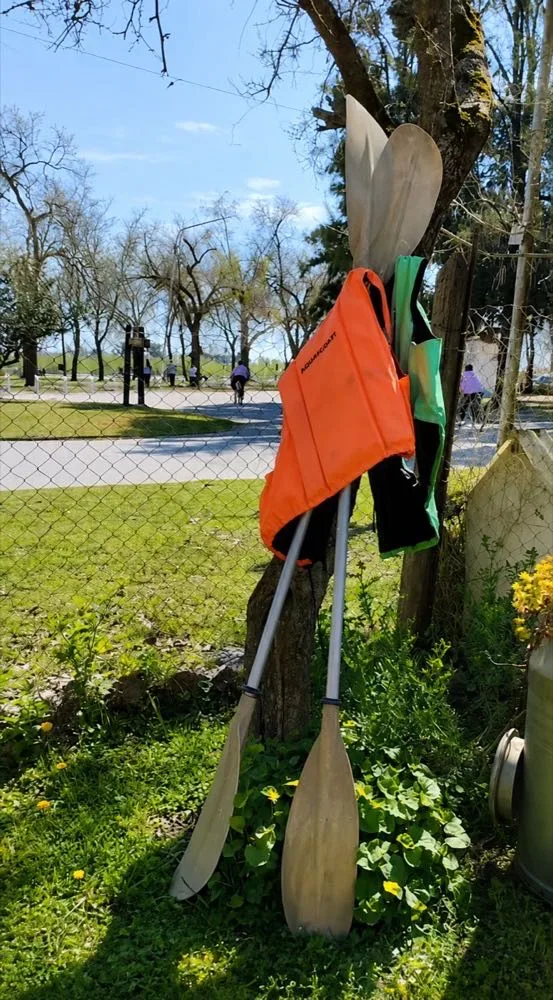 Remos y kayaks para los huéspedes